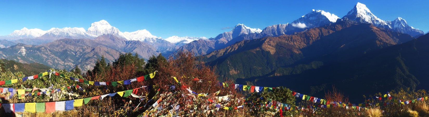 Ghorepani Poon Hill Trek