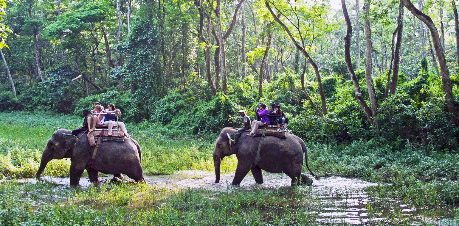 3 Days Chitwan WildLife Tour